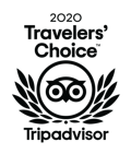 Travelers' Choice 2020 Logo