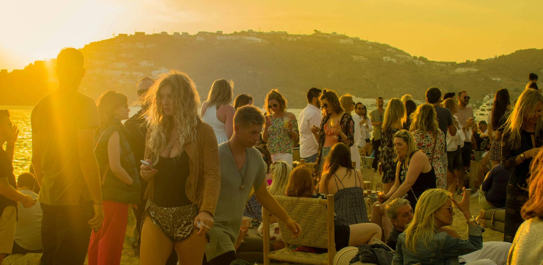 Festival Napa Valley: Festival Live!