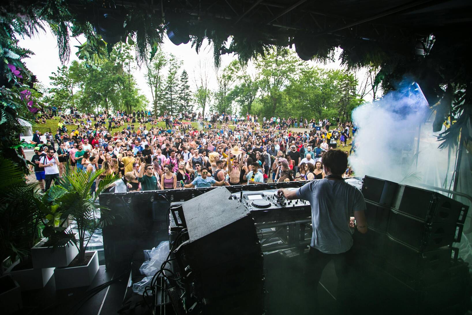 Festival Napa Valley: Festival Live!