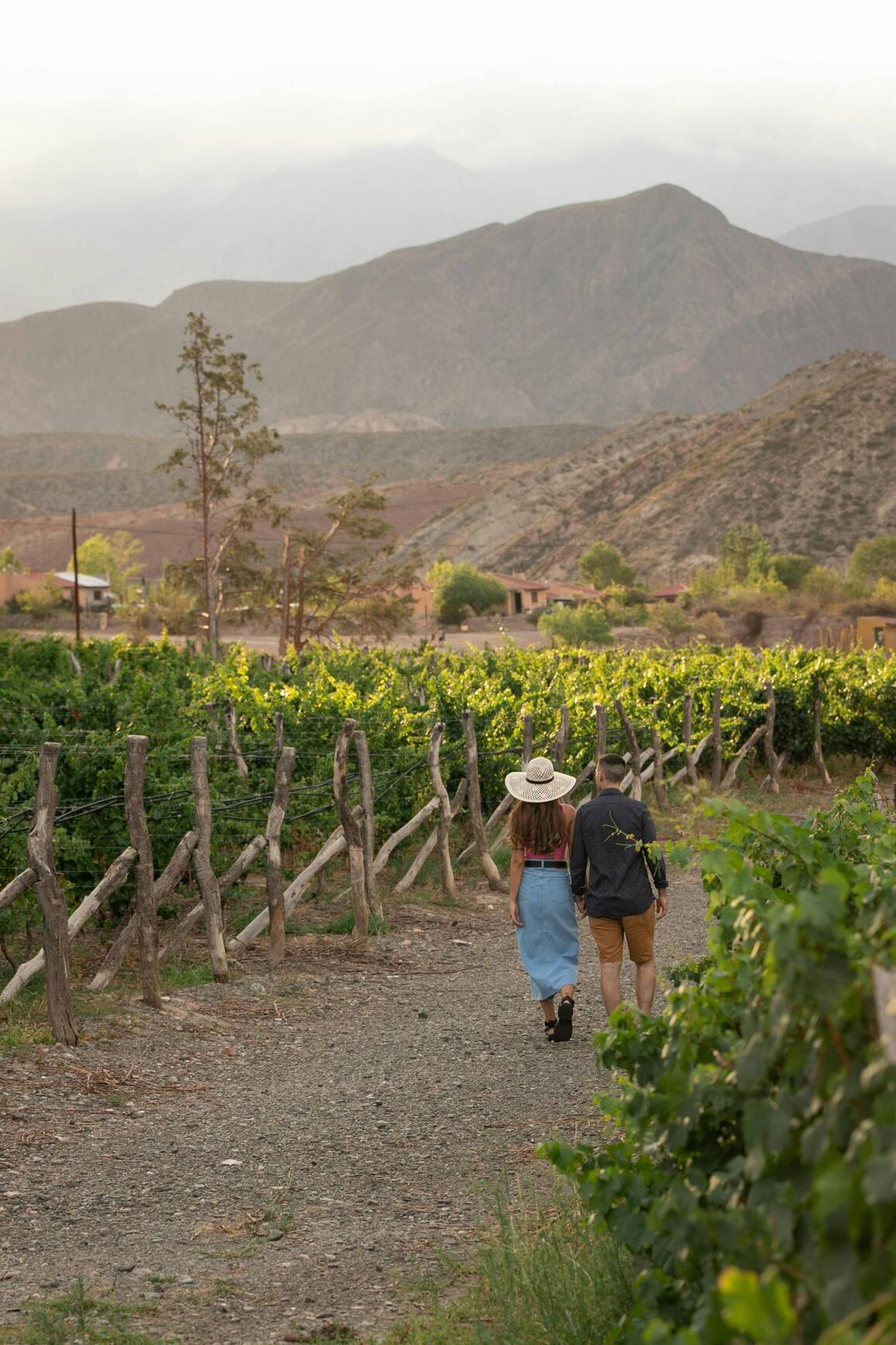 Wine & Wellness: Vineyard Hike