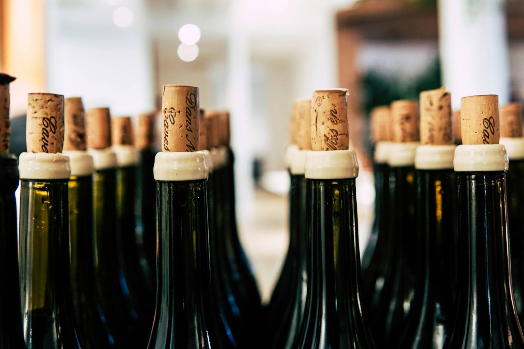 Burgundy Uncorked: Mastering the Art of Blind Tasting