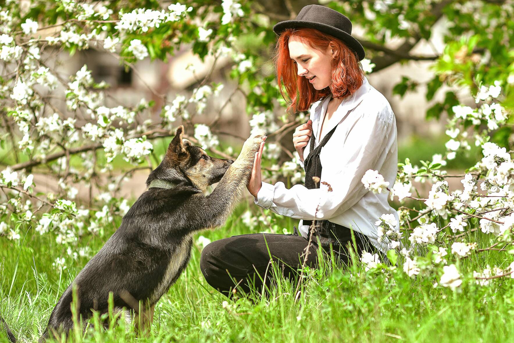 Wag, Wine & Dine, A Culinary Adventure for Pups And Their People!